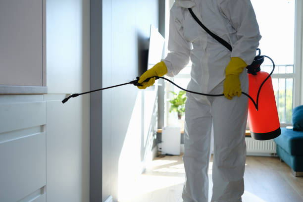Best Mold Remediation for Healthcare Facilities  in Benicia, CA